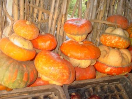 freeche new de nature